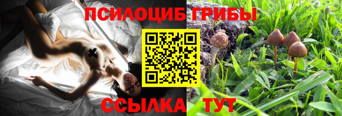 Галлюциногенные грибы мицелий Новороссийск